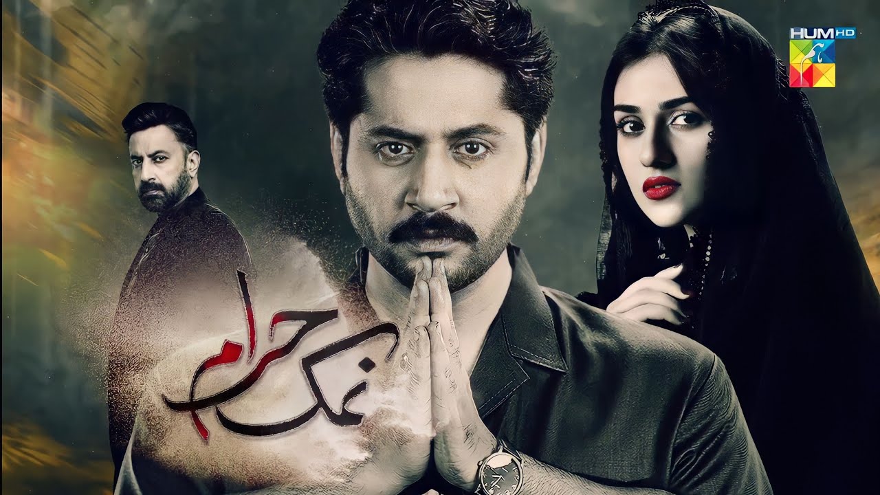 Namak Haram Drama Review, Cast, Timings, Ratings, Director