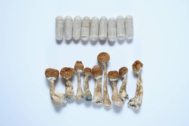 Mushroom Capsules: A Natural Path to Health and Wellness